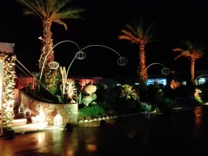 13077035 1037946736297612 7440518296716483773 n (1)