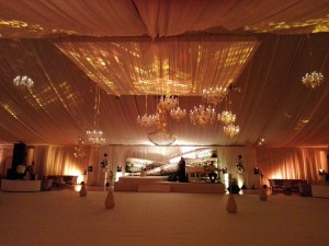 13240043 1037946666297619 3239167696279774081 n (1)